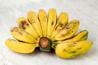 Banana Cardava Saba